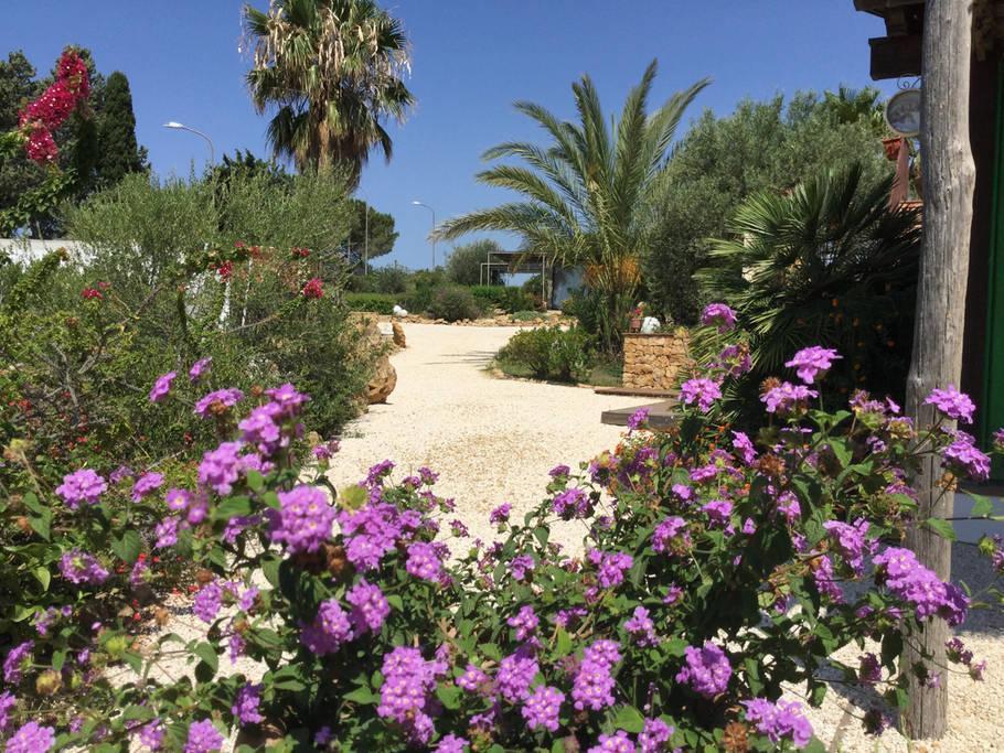 Il Colle Del Rustico Bed & Breakfast Agrigento Ngoại thất bức ảnh