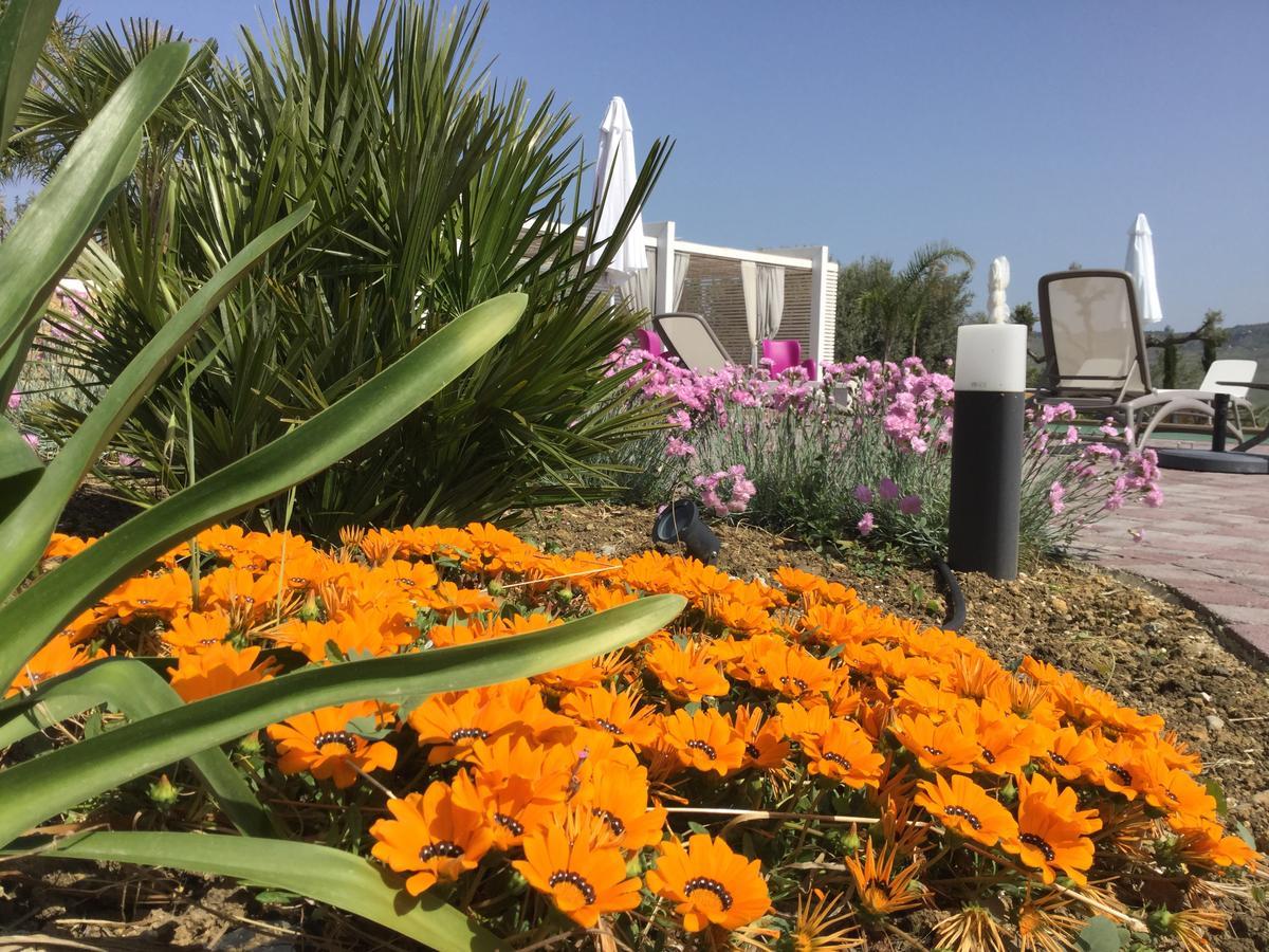 Il Colle Del Rustico Bed & Breakfast Agrigento Ngoại thất bức ảnh